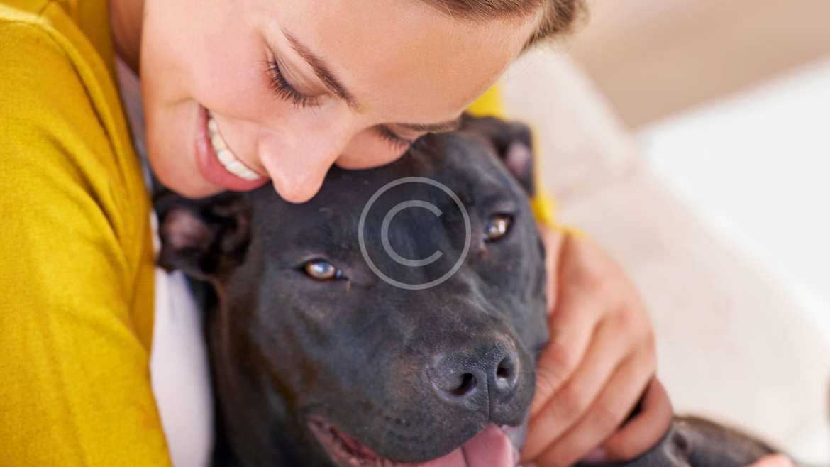 Does your pet have kissable breath?
