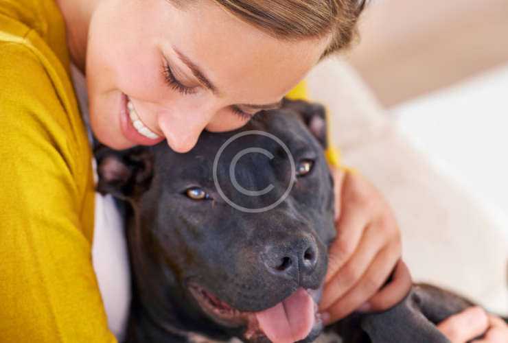 Does your pet have kissable breath?